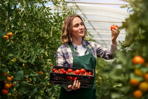 Matthias Aletsee - Transportation Matthias Aletsee - Transportation - Transportation